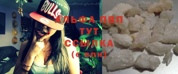прущие грибы Волосово