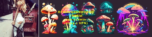 прущие грибы Волосово