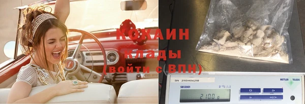 Альфа ПВП Володарск
