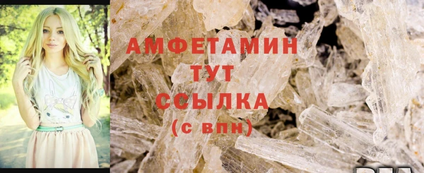 прущие грибы Волосово
