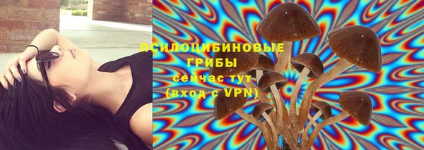 прущие грибы Волосово