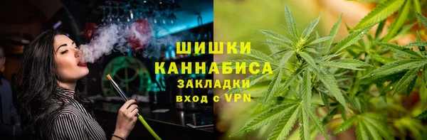 прущие грибы Волосово