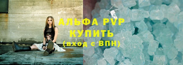 прущие грибы Волосово
