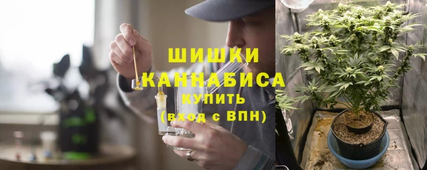 прущие грибы Волосово