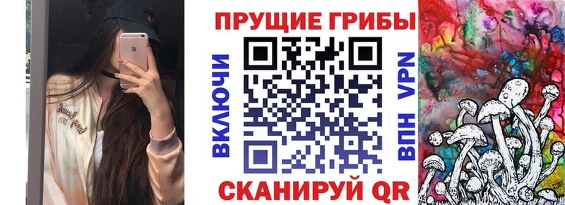 блэк спрут вход  Щёлково  darknet наркотические препараты  Псилоцибиновые грибы прущие грибы 